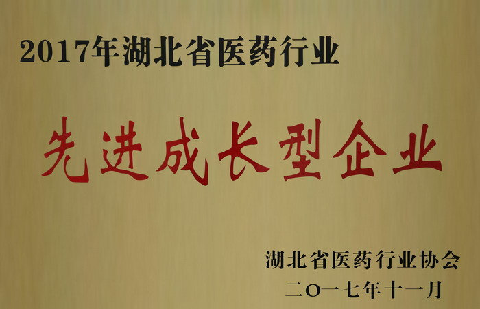 東信藥業(yè)榮獲“湖北省醫(yī)藥行業(yè)先進(jìn)成長(zhǎng)型企業(yè)”，“混合脂肪酸甘油酯...