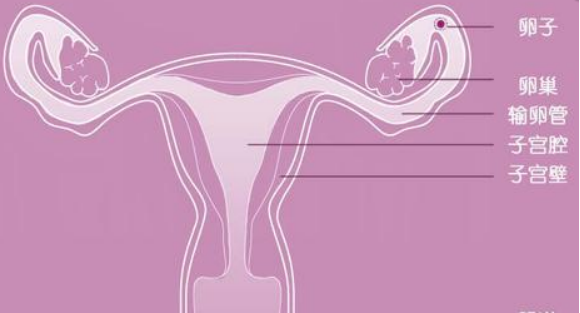 來的剛剛好之婦科調(diào)經(jīng)