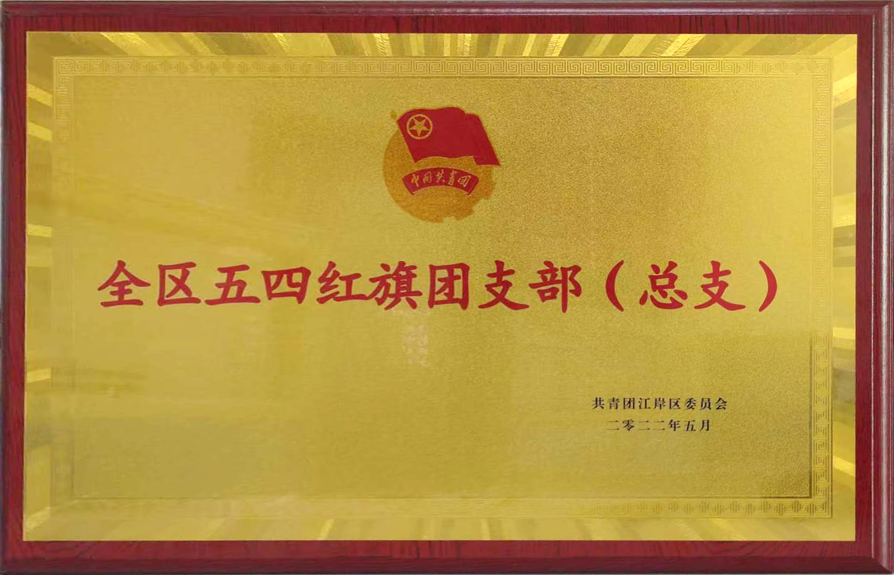共青團(tuán)成立100周年之際，東信醫(yī)藥團(tuán)支部喜獲武漢市江岸區(qū)“全區(qū)五...