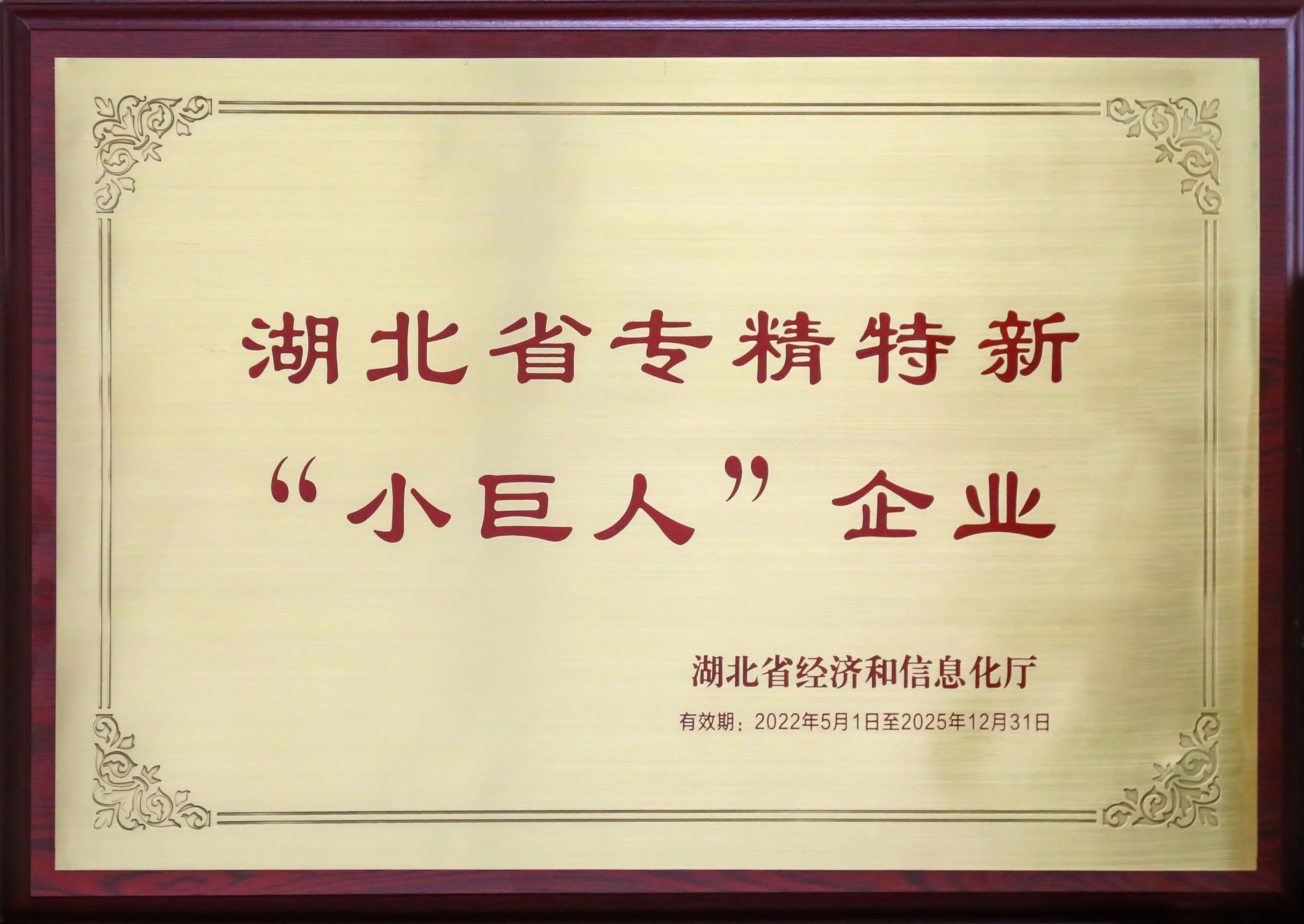 盤點新疆26省聯(lián)盟集采，湖北東信擬中選（婦科）品種數(shù)量名列榜首